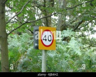 40 mph velocità limite segno di promemoria a Liphook, Hampshire, Inghilterra Foto Stock