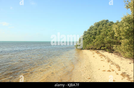 La Gfp Florida keys chiave lungo stato parco terra e mare Foto Stock