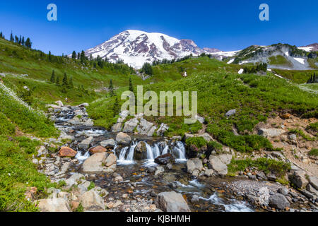 Il mirto cade su edith creek sul myrtle falls trail nel paradiso la sezione del Monte Rainer national park nello stato di Washington negli stati uniti Foto Stock