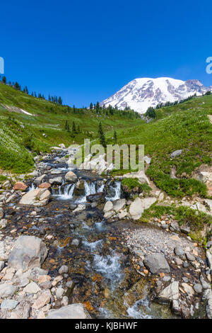 Il mirto cade su edith creek sul myrtle falls trail nel paradiso la sezione del Monte Rainer national park nello stato di Washington negli stati uniti Foto Stock