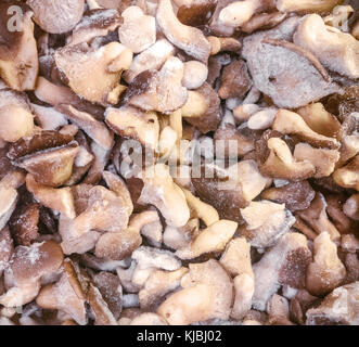 Tagliare congelati Ostriche (funghi pleurotus) Foto Stock