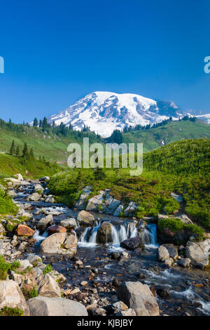 Il mirto cade su edith creek sul myrtle falls trail nel paradiso la sezione del Monte Rainer national park nello stato di Washington negli stati uniti Foto Stock