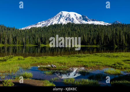 La riflessione di Mount Rainier nella riflessione sul laghetto di stevens canyon road in Mount Rainier National Park nello stato di Washington negli stati uniti Foto Stock