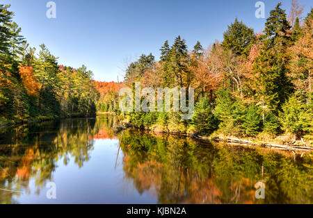 Picco adirondacks caduta delle foglie a fianco di un monumento falls, new york. Foto Stock