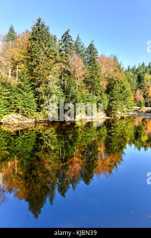 Picco adirondacks caduta delle foglie a fianco di un monumento falls, new york. Foto Stock