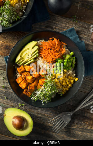 Sano tofu organico e di riso buddha ciotola con le verdure Foto Stock