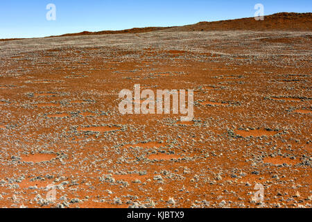 Cerchi di fata, situato nel deserto del Namib, nel namib-naukluft parco nazionale della Namibia. Foto Stock