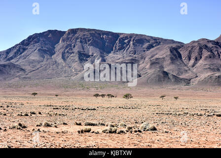 Cerchi di fata, situato nel deserto del Namib, nel namib-naukluft parco nazionale della Namibia. Foto Stock