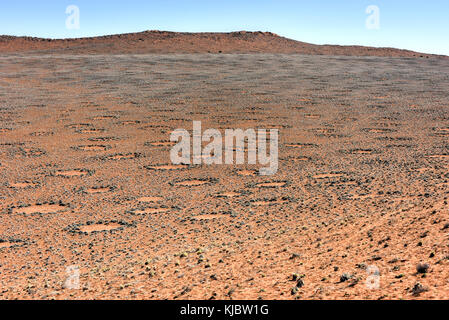 Cerchi di fata, situato nel deserto del Namib, nel namib-naukluft parco nazionale della Namibia. Foto Stock