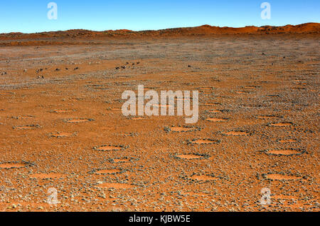 Cerchi di fata, situato nel deserto del Namib, nel namib-naukluft parco nazionale della Namibia. Foto Stock