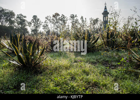 Torres de Chapultepec (navi di 4 serbatoi di stoccaggio di carcamo Dolores) Foto Stock