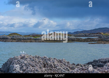 Costa scozzese con gabbiani e cielo nuvoloso sull'oceano a Mallaig in Scozia, Regno Unito Foto Stock