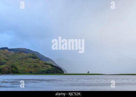 Nubi misty e un albero solista sulla costa scozzese vicino al Castello di Eilean Donan e Kyle of Lochalsh in Scozia, Regno Unito Foto Stock