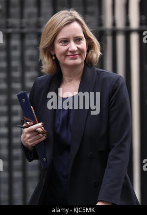 Londra, Regno Unito. 22 novembre, 2017. ambra rudd home secretary visto in Downing street sul bilancio giorno a Londra Foto Stock