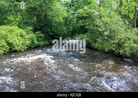 Gfp di Minneapolis Minnesota minnehaha creek Foto Stock