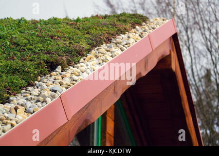 Dettaglio di pietre su vasta vivere verde tetto coperto di vegetazione Foto Stock