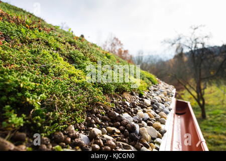 Dettaglio di pietre su vasta vivere verde tetto coperto di vegetazione Foto Stock