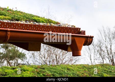 Dettaglio di pietre su vasta vivere verde tetto coperto di vegetazione Foto Stock