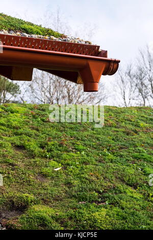 Dettaglio di pietre su vasta vivere verde tetto coperto di vegetazione Foto Stock