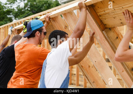 I volontari di sollevamento parete incorniciato al sito in costruzione Foto Stock