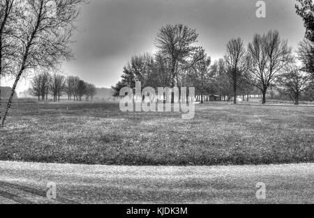 La Gfp illinois shabbona lago del parco statale monocromatico Foto Stock