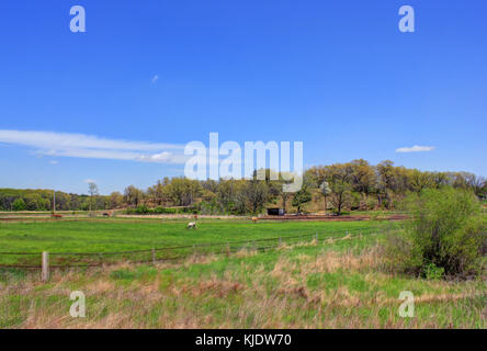 Paesaggio rurale a Madison, Wisconsin, con campi verdi, edifici agricoli e cielo aperto tipico delle regioni agricole del Midwest americano. Foto Stock