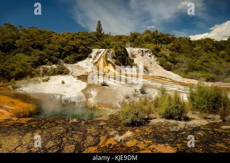 Il paesaggio della Nuova Zelanda - Lago di Rotorua acqua calda geyser Foto Stock