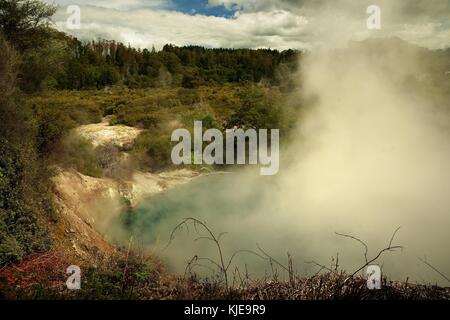 Il paesaggio della Nuova Zelanda - Lago di Rotorua acqua calda geyser Foto Stock