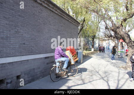 Venditore ambulante vicino alla Città Proibita di Pechino - Cina Foto Stock