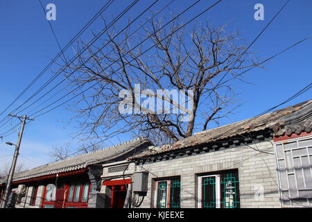 Cinese tradizionale di vicoli e abitazioni e negozi - Pechino, Cina Foto Stock