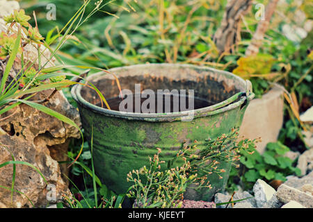 Vecchio arrugginito secchio pieno di acqua in giardino Foto Stock