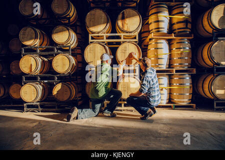 Uomini caucasici esaminando la canna in distilleria Foto Stock