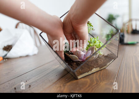 Foto in alto della donna di un fioraio che mostra master class sul rendere florarium nel vasetto di vetro sul tavolo di legno Foto Stock