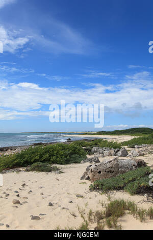 Spiaggia, sottosviluppato East Coast, Isola di Cozumel, Isla de Cozumel, Quintana Roo, Messico, Caraibi Foto Stock