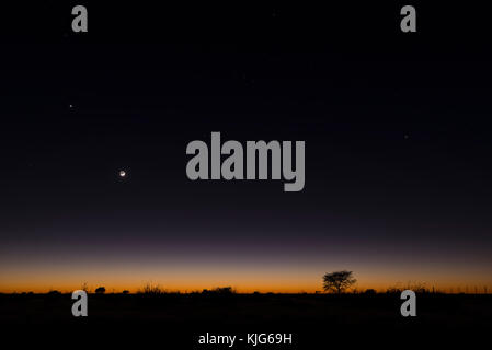 La Namibia, Regione Khomas, vicino Uhlenhorst, Astrophoto, aumento della luna e il pianeta Venere al di sopra di un incandescente orizzonte di Savannah Foto Stock