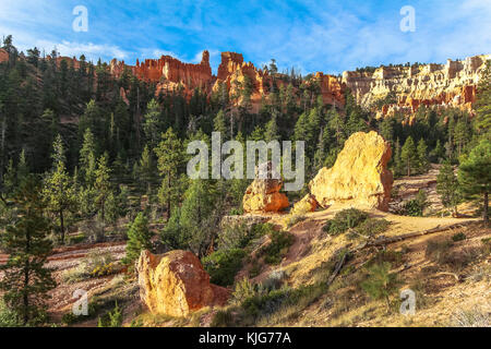 Rosso su hoodoos Fairyland Trail nel Bryce Canyon Foto Stock