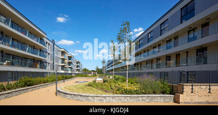 Centrale rialzata area giardino. Walthamstow Stadium Housing Development, Walthamstow, Regno Unito. Architetto: Conran e partner , 2017. Foto Stock