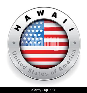 Hawaii bandiera degli Stati Uniti sul pulsante logo vector Illustrazione Vettoriale