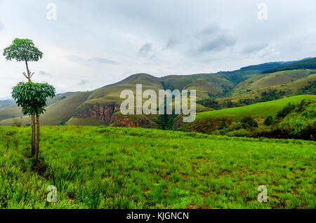 La guida attraverso le colline di sabie in Sud Africa. Foto Stock