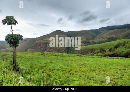 La guida attraverso le colline di sabie in Sud Africa. Foto Stock