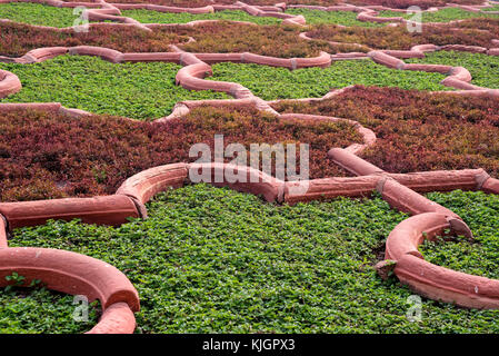 Angoori bagh o giardino dell'uva, al Forte di Agra, India. Foto Stock