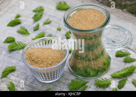 Maiwipferl-Sirup, Maiwipfel-Sirup, Maiwipferlsirup, Maiwipfelsirup, Hustensirup, Husten-Sirup, Fichtensirup, Fichten-Sirup, Fichtenhonig, Sirup, Ficht Foto Stock