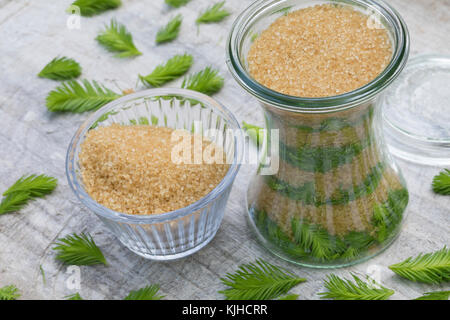 Maiwipferl-Sirup, Maiwipfel-Sirup, Maiwipferlsirup, Maiwipfelsirup, Hustensirup, Husten-Sirup, Fichtensirup, Fichten-Sirup, Fichtenhonig, Sirup, Ficht Foto Stock