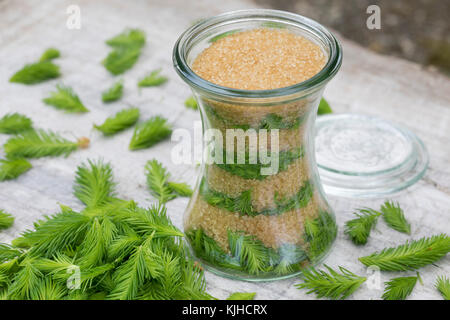 Maiwipferl-Sirup, Maiwipfel-Sirup, Maiwipferlsirup, Maiwipfelsirup, Hustensirup, Husten-Sirup, Fichtensirup, Fichten-Sirup, Fichtenhonig, Sirup, Ficht Foto Stock