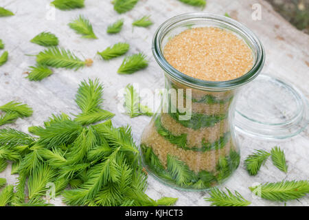 Maiwipferl-Sirup, Maiwipfel-Sirup, Maiwipferlsirup, Maiwipfelsirup, Hustensirup, Husten-Sirup, Fichtensirup, Fichten-Sirup, Fichtenhonig, Sirup, Ficht Foto Stock