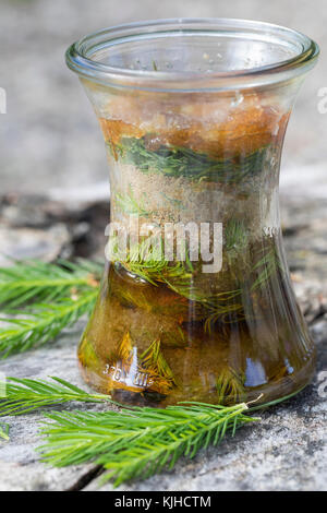 Maiwipferl-Sirup, Maiwipfel-Sirup, Maiwipferlsirup, Maiwipfelsirup, Hustensirup, Husten-Sirup, Fichtensirup, Fichten-Sirup, Fichtenhonig, Sirup, Ficht Foto Stock