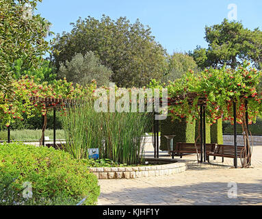 Parco ramat hanadiv, memorial gardens del barone Edmond de Rothschild, Zichron Yaakov, Israele Foto Stock