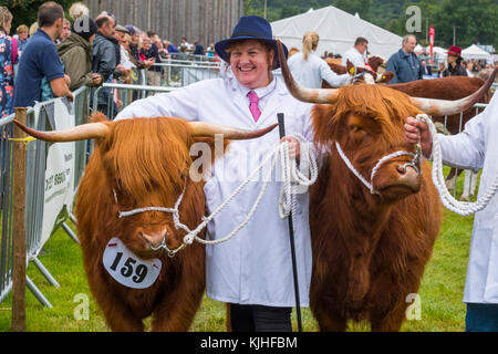 Donna con due Highland bovini nella parade ring a Burwarton Agricolo di mostrare, Shropshire, Inghilterra, Regno Unito Foto Stock