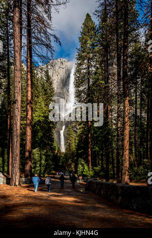 Il paesaggio del parco nazionale di Yosemite in California