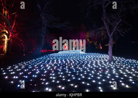 Luci natalizie in mostra al Blenheim Palace di Woodstock, Oxfordshire. Foto Stock